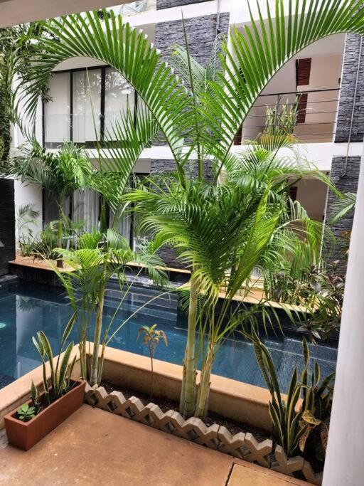 Amazing Jungle Retreat Lahkah Tulum Leilighet Eksteriør bilde